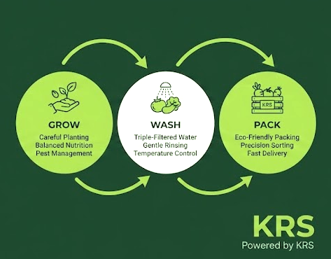 KRS grow, wash and pack farming cycle